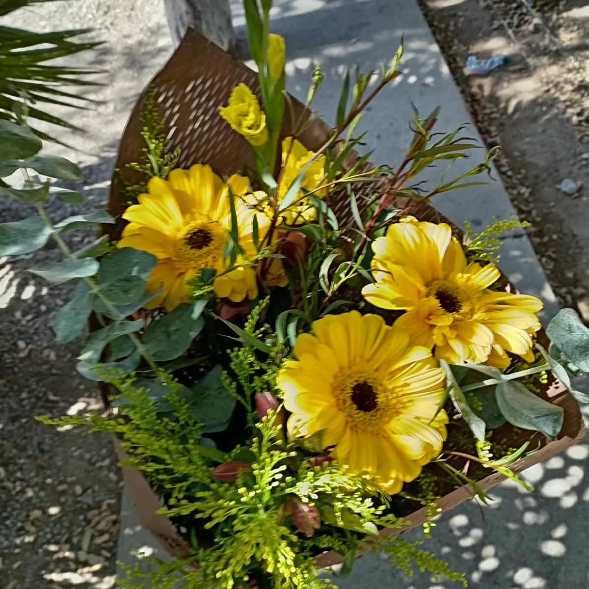 Destello de Luz